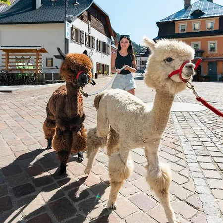 Hammerack Hotel, & Wellness 5*