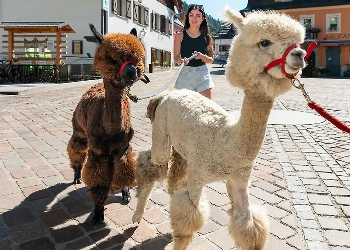 Hammerack Hotel, & Wellness 5*